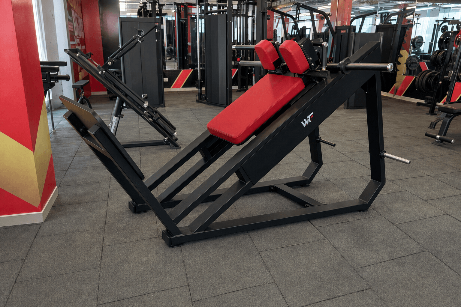 Hack Squat deployed in a WTF gym