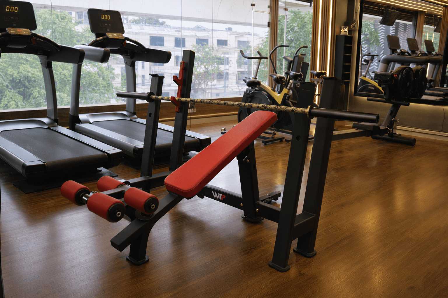 Lion Bar deployed in a WTF gym