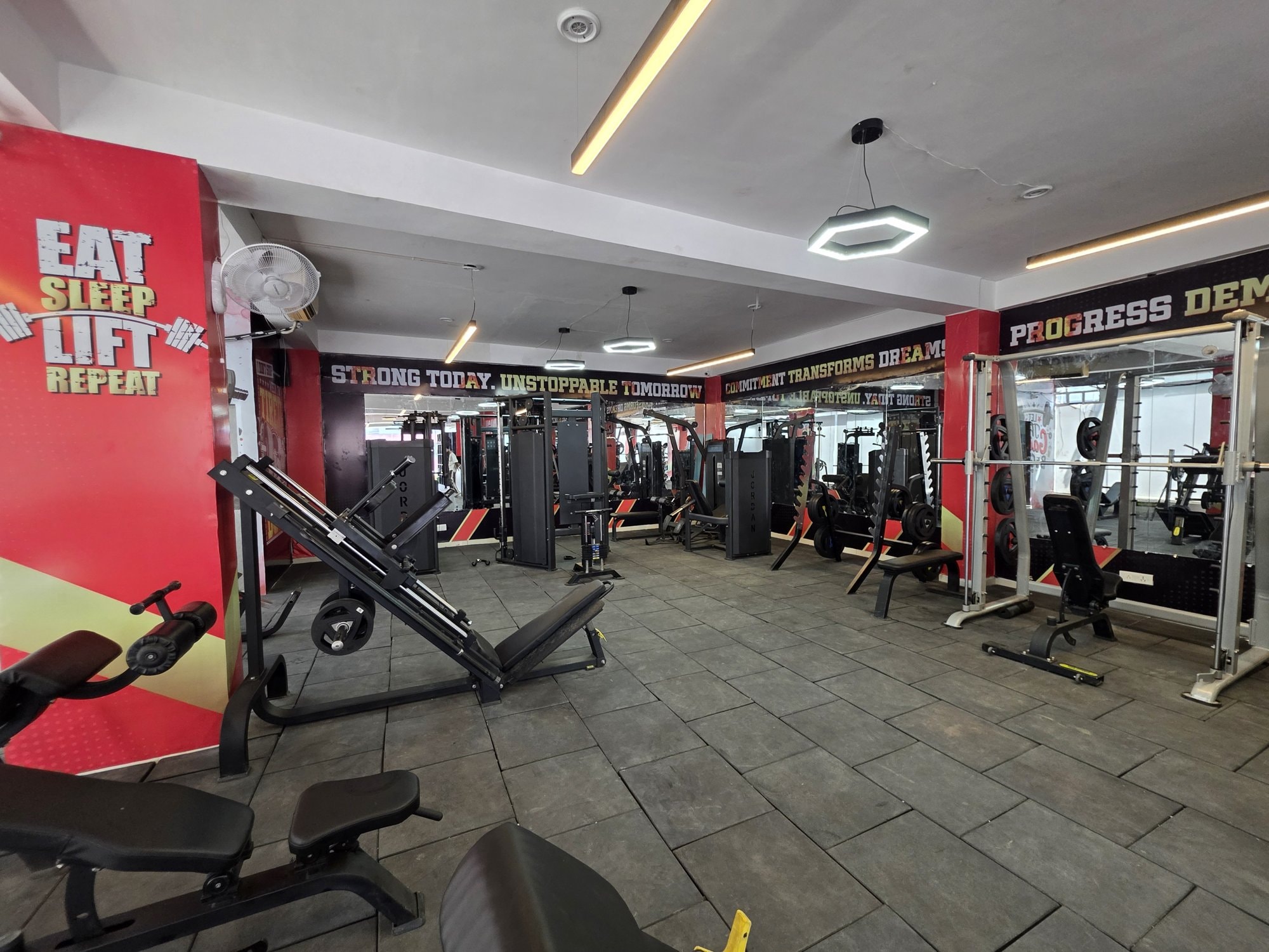 Strength machines lined up across a WTF gym floor