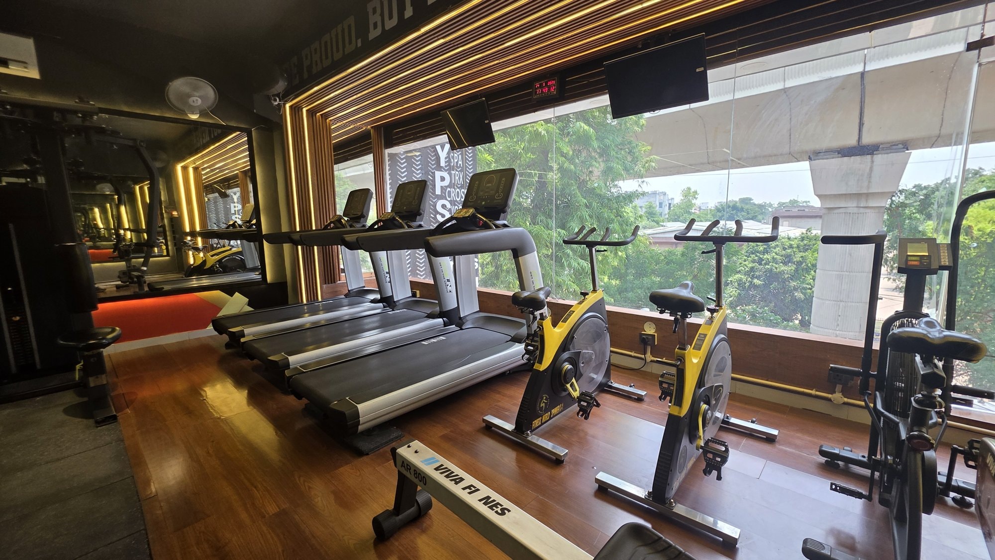 Free-weights and rack zone in a live WTF gym